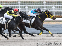 カラープリント(アルミ枠なし)2021年12月5日中京6R 3歳以上1勝クラス(マイグレーション)