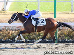 カラープリント(アルミ枠付き)2021年12月5日中山2R 2歳未勝利(トリグラフ)