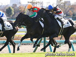 カラープリント(アルミ枠付き)2021年12月5日中山5R 2歳新馬(マイネルトルファン)