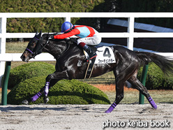 カラーパネル2021年12月11日阪神1R 2歳未勝利(フォーチュンテラー)