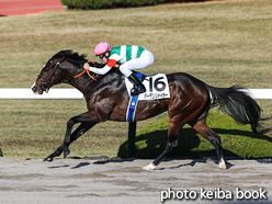 カラープリント(アルミ枠付き)2021年12月11日阪神8R 3歳以上2勝クラス(バーデンヴァイラー)