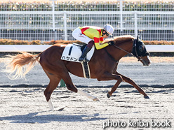 カラープリント(アルミ枠付き)2021年12月11日中京1R 2歳未勝利(ハセドン)