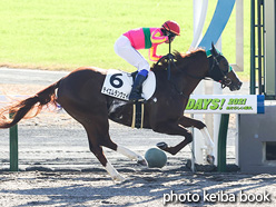 カラーパネル2021年12月11日中京2R 2歳未勝利(テイエムランウェイ)