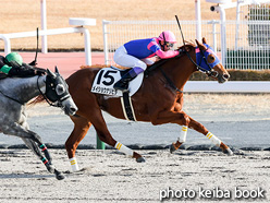 カラーパネル2021年12月11日中京7R 3歳以上1勝クラス(メイショウナリヒラ)