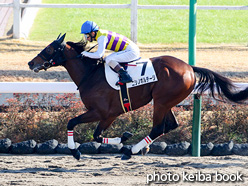 カラープリント(アルミ枠なし)2021年12月11日中山3R 2歳未勝利(ニシノボルテージ)