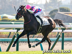 カラープリント(アルミ枠付き)2021年12月11日中山5R 2歳新馬(ポケットシンデレラ)