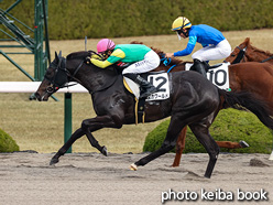 カラーパネル2021年12月12日阪神2R 2歳未勝利(スズカワールド)