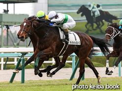 カラープリント(アルミ枠なし)2021年12月12日阪神3R 2歳未勝利(ディライトバローズ)