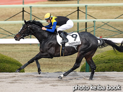 カラープリント(アルミ枠付き)2021年12月12日阪神7R 3歳以上1勝クラス(フォルテデイマルミ)