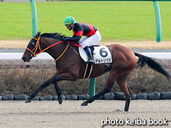 カラープリント(アルミ枠なし)2021年12月12日中山4R 3歳以上障害未勝利(アルトリウス)