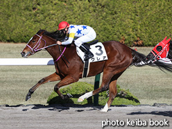 カラーパネル2021年12月18日阪神6R 2歳新馬(クレア)