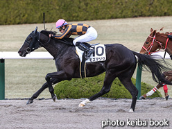 カラープリント(アルミ枠なし)2021年12月18日阪神8R 3歳以上1勝クラス(モズマゾク)