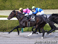 カラーパネル2021年12月18日阪神9R 赤穂特別(ナリタフォルテ)