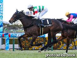 カラーパネル2021年12月18日阪神10R 甲東特別(シャーレイポピー)