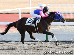 カラーパネル2021年12月18日中京8R 3歳以上1勝クラス(メイショウミカワ)