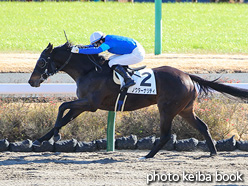 カラーパネル2021年12月18日中山2R 2歳未勝利(ノクターナリティ)