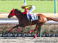 カラープリント(アルミ枠付き)2021年12月18日中山6R 2歳新馬(タヒチアンダンス)