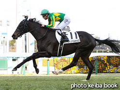 カラープリント(アルミ枠付き)2021年12月19日阪神7R 3歳以上1勝クラス(サトノペルセウス)