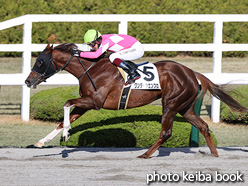 カラープリント(アルミ枠なし)2021年12月19日阪神8R 3歳以上2勝クラス(ワンダーシエンプロ)