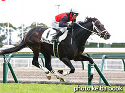 カラープリント(アルミ枠なし)2021年12月19日中京8R 3歳以上1勝クラス(メモリーエフェクト)