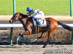 カラープリント(アルミ枠付き)2021年12月19日中山8R 3歳以上1勝クラス(ブルーカルセドニー)