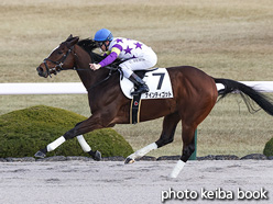 カラープリント(アルミ枠付き)2021年12月25日阪神2R 2歳未勝利(ナインティゴット)