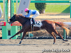 カラーパネル2021年12月25日中山4R 2歳未勝利(ポイズンアロウ)