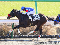 カラープリント(アルミ枠付き)2021年12月28日中山2R 2歳未勝利(イスカンダル)