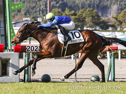 カラープリント(アルミ枠付き)2022年1月22日小倉2R 3歳未勝利(アメリカンスター)