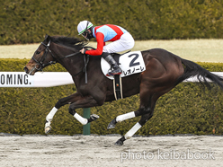 カラーパネル2022年2月20日阪神4R 3歳新馬(レオノーレ)