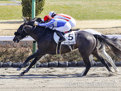 カラーパネル2022年2月27日中山4R 3歳未勝利(ビートエモーション)