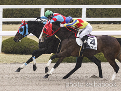 カラープリント(アルミ枠なし)2022年3月6日阪神4R 4歳以上障害未勝利(ネビーイーム)