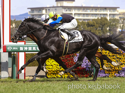 カラーパネル2022年3月6日阪神5R 3歳未勝利(クワイエットホーク)