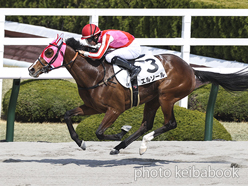 カラープリント(アルミ枠付き)2022年3月13日阪神6R 4歳以上1勝クラス(エルソール)