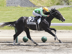 カラーパネル2022年5月28日新潟6R 3歳未勝利(タイキスパルタン)