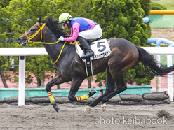 カラープリント(アルミ枠なし)2022年6月25日函館2R 3歳未勝利(メイショウタイゲイ)