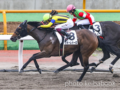 カラープリント(アルミ枠付き)2022年7月2日函館4R 3歳未勝利(クオーレドーロ)