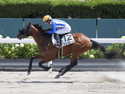 カラープリント(アルミ枠付き)2022年8月6日札幌4R 3歳未勝利(バンクロール)