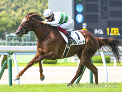 カラープリント(アルミ枠付き)2022年8月28日小倉6R 2歳新馬(バレリーナ)