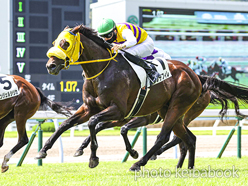 カラープリント(アルミ枠なし)2022年9月4日小倉7R 3歳以上1勝クラス(ニシノデフィレ)