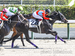 カラープリント(アルミ枠付き)2022年9月11日中京8R 3歳以上1勝クラス(フォーチュンテラー)