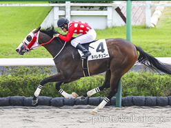 カラープリント(アルミ枠付き)2022年9月11日中山1R 2歳未勝利(ネバレチュゴー)