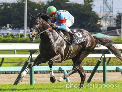 カラープリント(アルミ枠付き)2022年9月11日中山9R 白井特別(エピファニー)