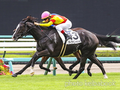 カラープリント(アルミ枠付き)2022年9月17日中山5R 2歳新馬(ティファニードンナ)