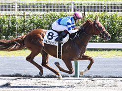 カラープリント(アルミ枠付き)2022年9月24日中京6R 3歳以上1勝クラス(プリモスペランツァ)