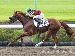 カラープリント(アルミ枠なし)2022年9月24日中山3R 2歳新馬(トレド)