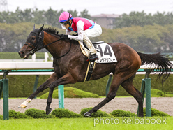 カラーパネル2022年10月9日阪神9R 3歳以上1勝クラス(ピンクマクフィー)