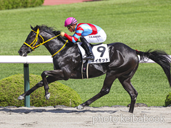 カラープリント(アルミ枠付き)2022年10月15日阪神2R 2歳未勝利(ネイキッド)