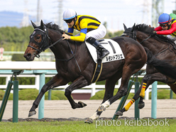 カラーパネル2022年10月16日阪神5R 2歳新馬(ルモンドブリエ)