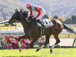 カラープリント(アルミ枠付き)2022年11月6日福島4R 3歳以上障害未勝利(タマモワカムシャ)